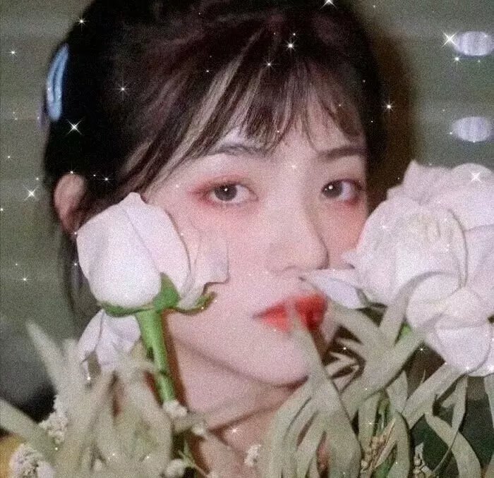 古墓丽影