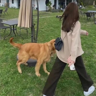 牛头怪